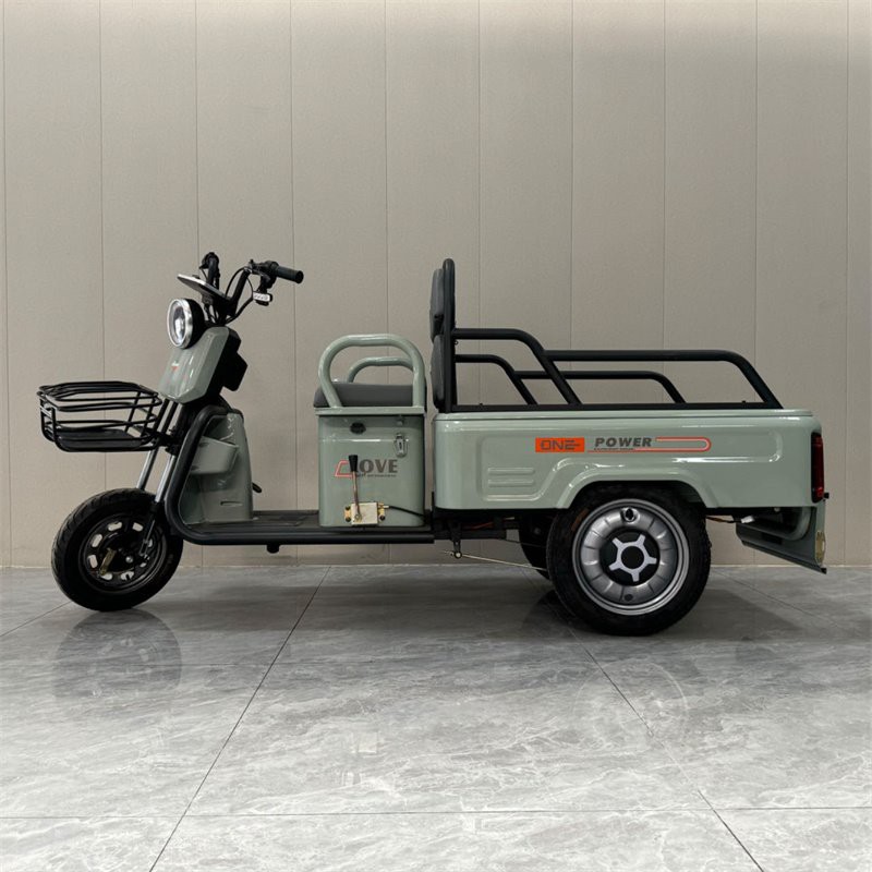 Leisure Electric Tricycle