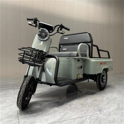 Anzjani Triċiklu tal-Veġġar